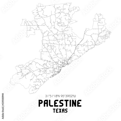 Palestine Texas. US street map with black and white lines.