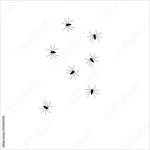 Spiders on a white background