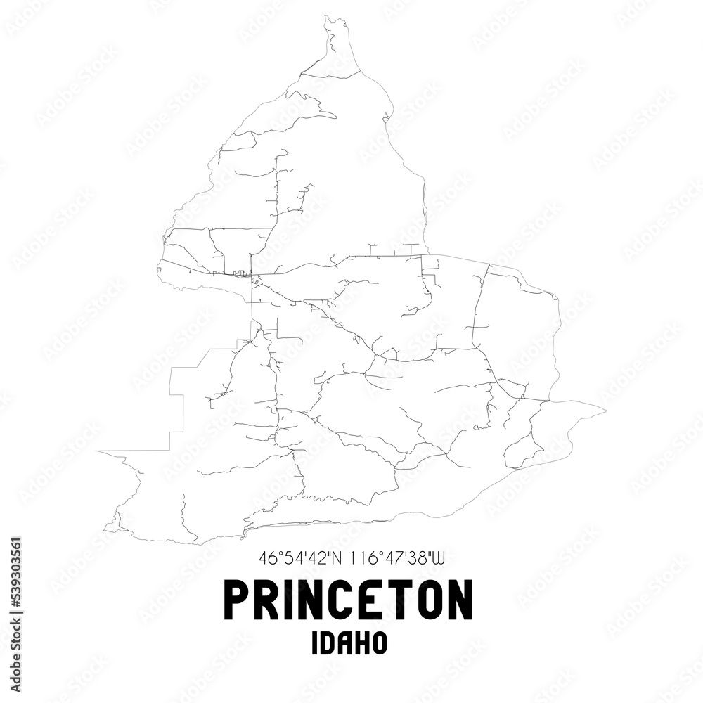 Obraz premium Princeton Idaho. US street map with black and white lines.