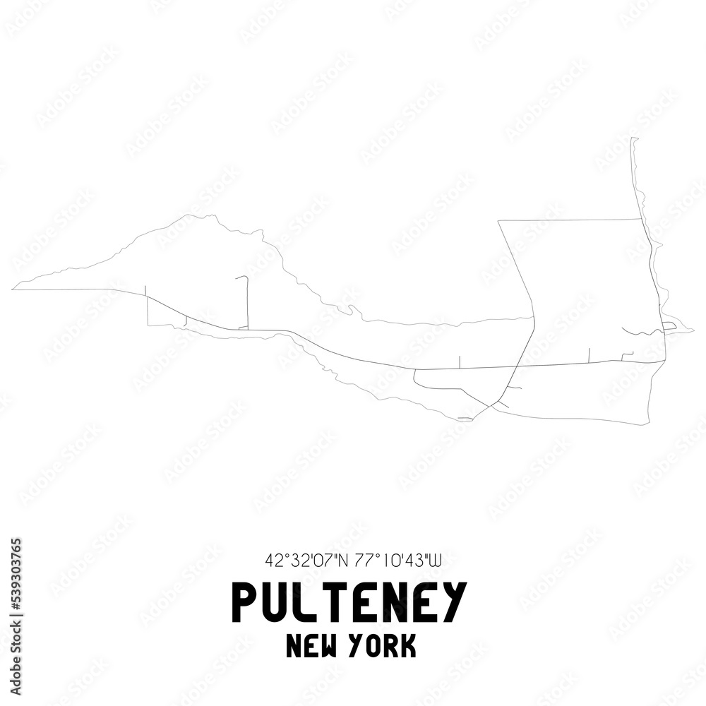 Pulteney New York. US street map with black and white lines.