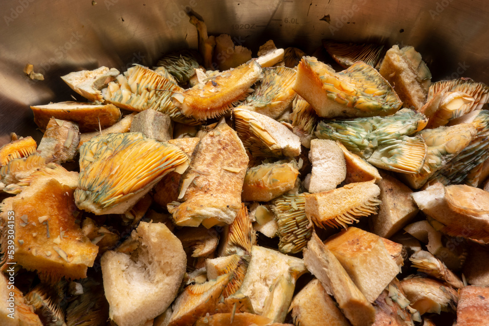 Tasty edible mushroom Lactarius deliciosus sliced for loading and preparing soup