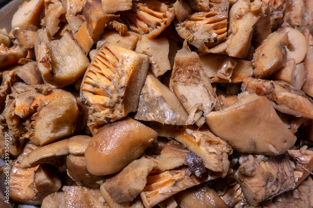 Tasty edible mushroom Lactarius deliciosus sliced for loading and preparing soup