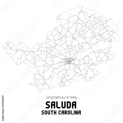 Saluda South Carolina. US street map with black and white lines.
