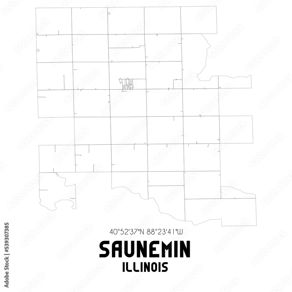 Saunemin Illinois. US street map with black and white lines.