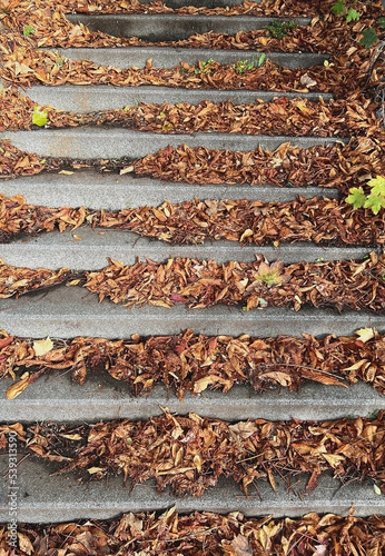 Herbstlaub auf einer Treppe 