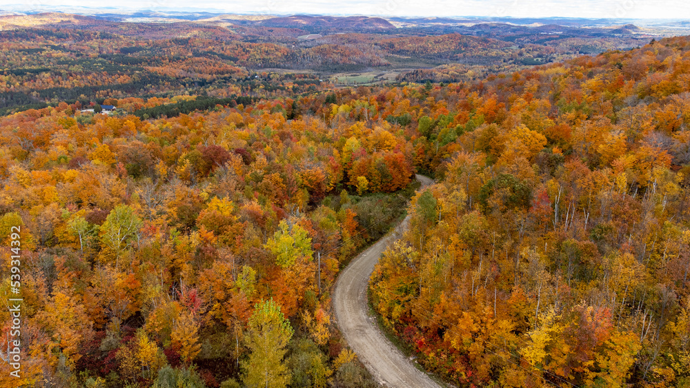 Fall Landscape Across Quebec. Canada