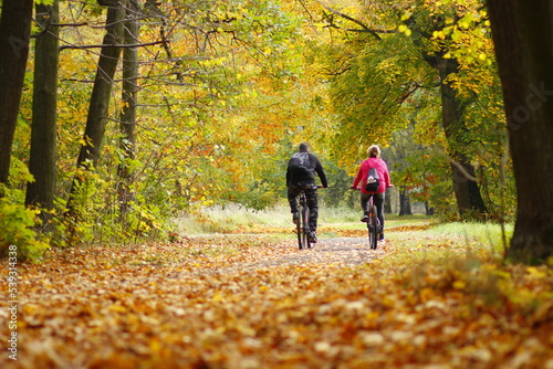 Cycling in the autumn park in europe © Ruchacz