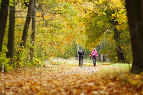 Cycling in the autumn park in europe