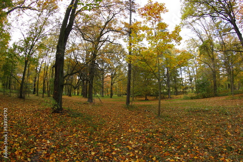 Park in   wierklaniec  Fall season