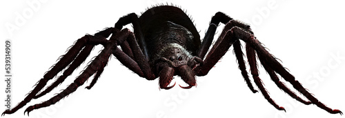 Foto Giant spider on the ground 3D illustration