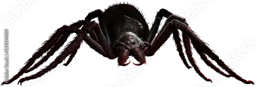 Obraz Giant spider on the ground 3D illustration	