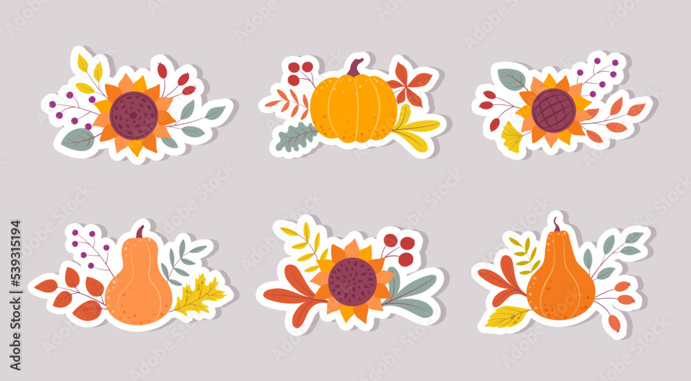 A set of autumn elements for decoration. Pumpkins, sunflowers, plants. Autumn arrangements set isolated on white. Flat cartoon illustration.
