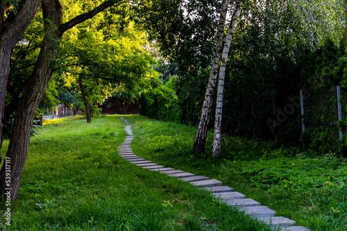 summer landscape stone path among green plants and birches
