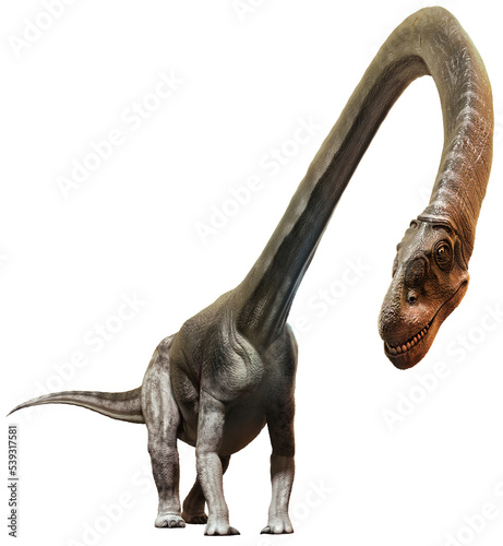 Fototapeta Naklejka Na Ścianę i Meble -  Omeisaurus from the Jurassic era 3D illustration	