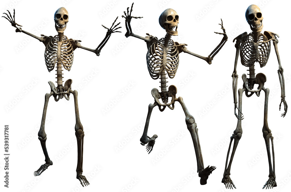 Fantasy horror skeletons 3D illustration	 - obrazy, fototapety, plakaty 