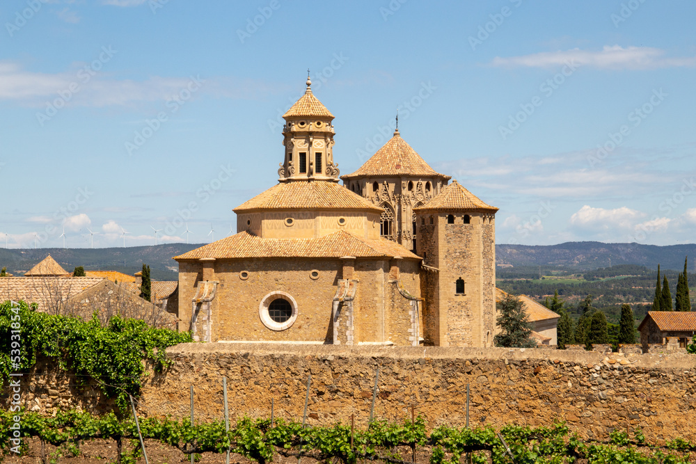 Church surrounded by vineyards on a sunny day