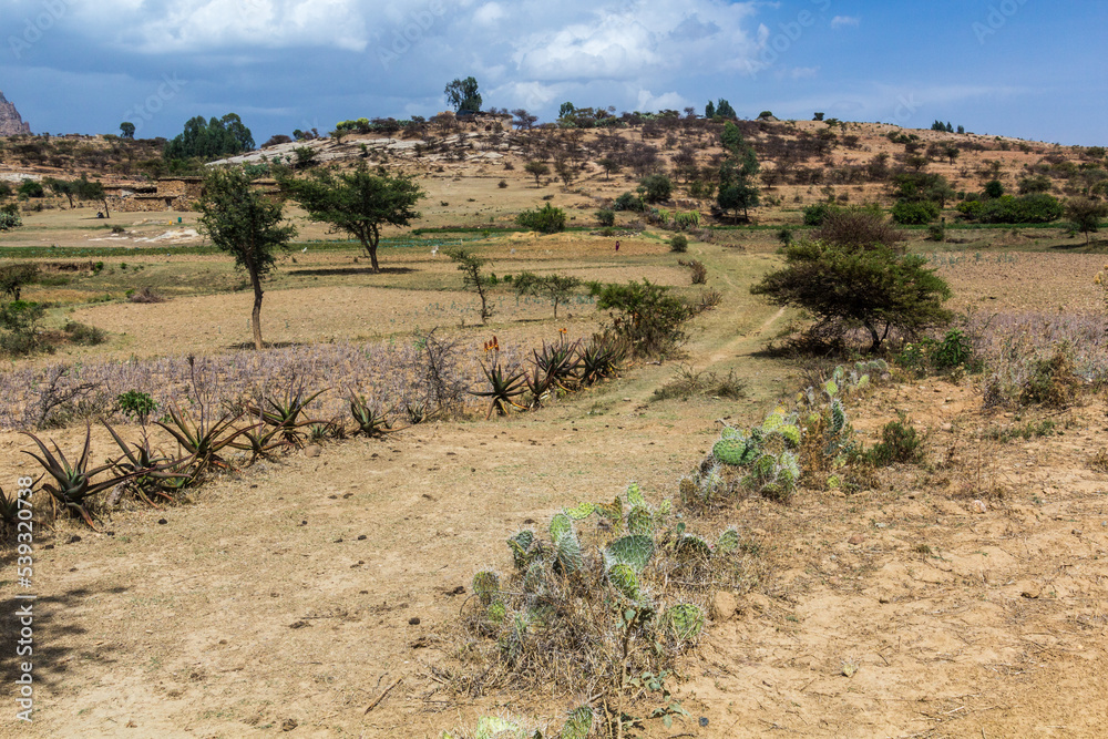 Rural landscape of Tigray region, Ethiopia