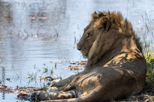 Okavango Delta  Botswana  