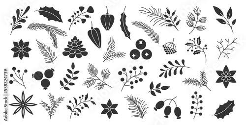 Winter autumn berry christmas tree spruce branch leaf stencil handdrawn black glyph set. Poinsettia fir pine cone star anise viburnum print festive garden home decor card invitation sticker print