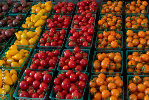 tomatoes at the market