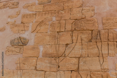 Detail of the Lion Temple (Apedemak) at Musawwarat es-Sufra (Musawarat Al-Sufra) in Sudan photo
