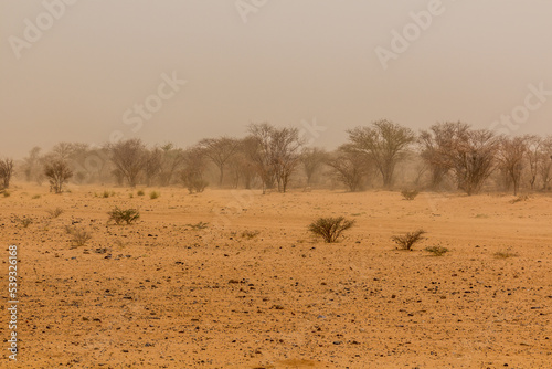 View of a dry region landscape, Sudan