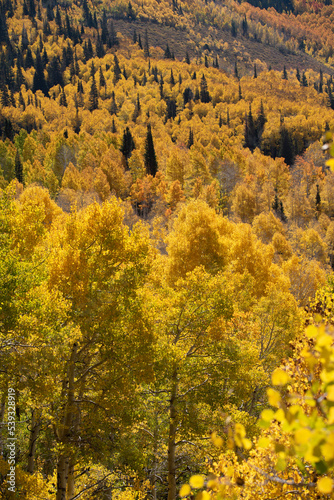 autumn in the mountains