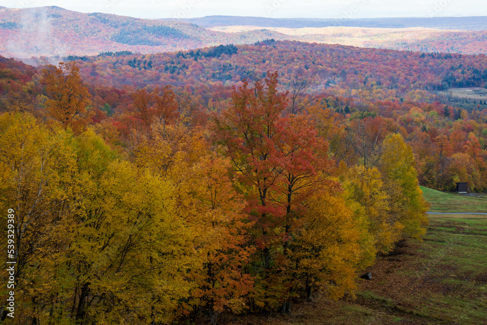 Obraz premium Colorful view