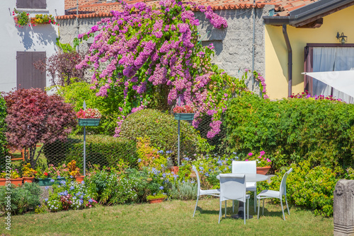 Garden with flowers in back yard at sunny springtime, Lake Garda, Italy © Aide