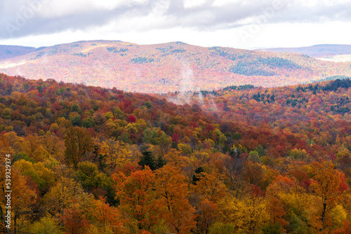 Autumn fog disappears