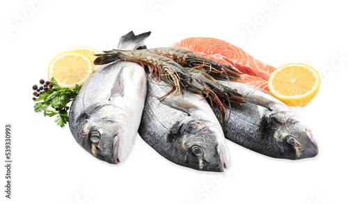 Fresh dorado fish, shrimps and salmon on white background