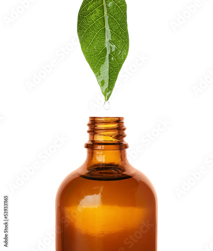 Dripping essential oil from leaf into glass bottle on white background