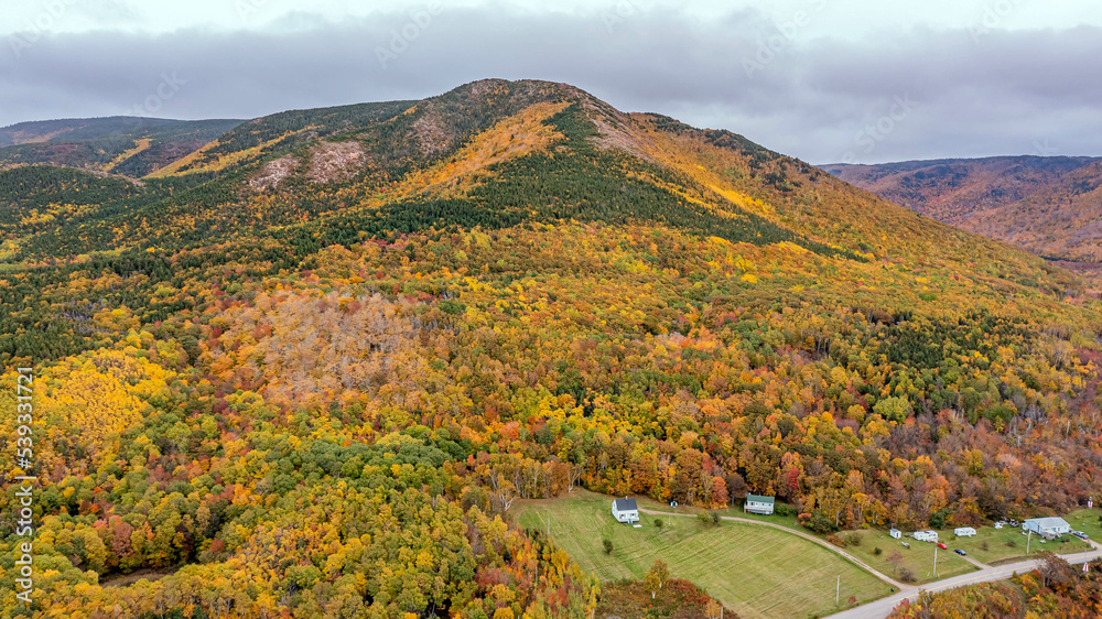 Drone view of Cape Breton Island, Autumn Colors in Forest, Forest Drone view, Colorful Trees in Forest