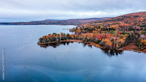 Drone view of Cape Breton Island, Autumn Colors in Forest, Forest Drone view, Colorful Trees in Forest