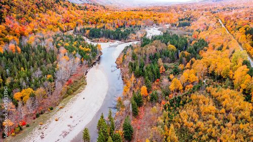 Drone view of Cape Breton Island, Autumn Colors in Forest, Forest Drone view, Colorful Trees in Forest