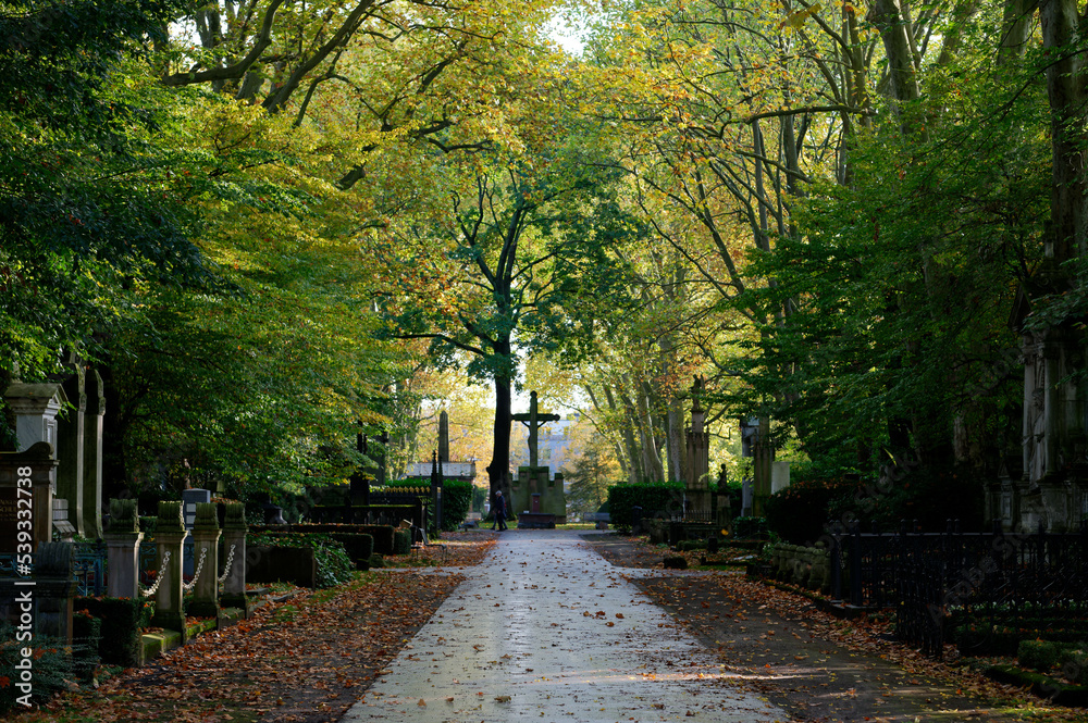 avenue at the historic cemetery melaten in cologne in autumn