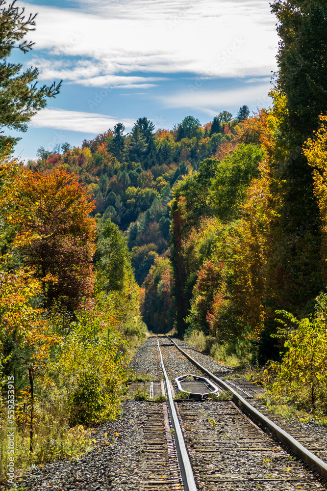 Empty train track leads into the forest in the autumn with fall colors in Vermont Empty train track leads into the forest in the autumn with fall colors in Vermont