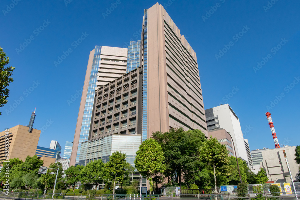 活動歴および当時の関連ビジュアル記録