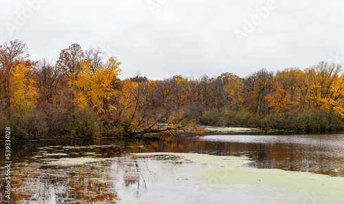 Wisconsin River in Wausau, Wisconsin with colorful autumn leaves in October