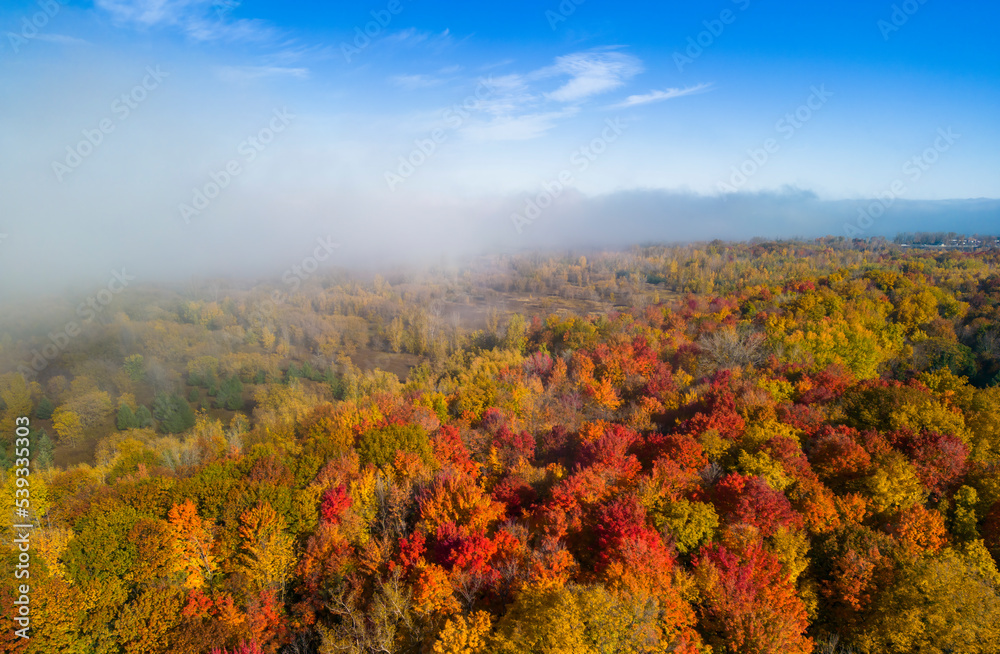 Autumn in Mont-Saint-Bruno National Park, Canada, aerial view
