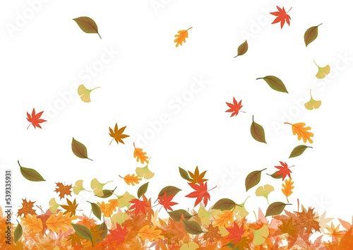 autumn leaves background illustration 가을 낙엽 일러스트 단풍잎 은행잎 나뭇잎 일러스트 