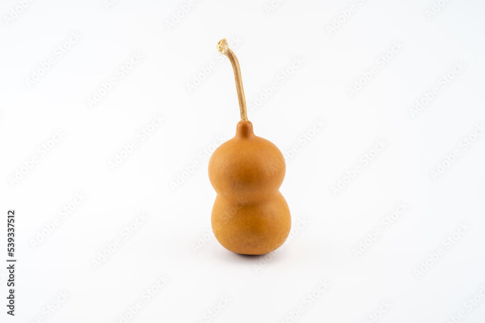 a mature bottle gourd on white background a mature bottle gourd on white background