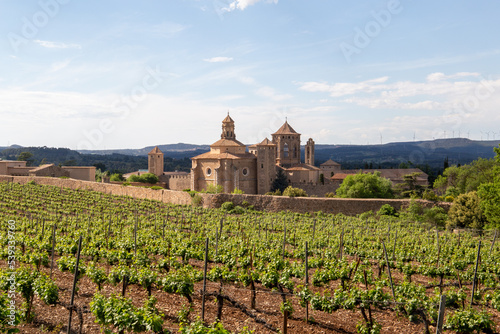 Church surrounded by vineyards on a sunny day