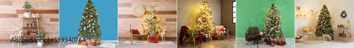 Collage of beautiful Christmas trees in interiors of living rooms