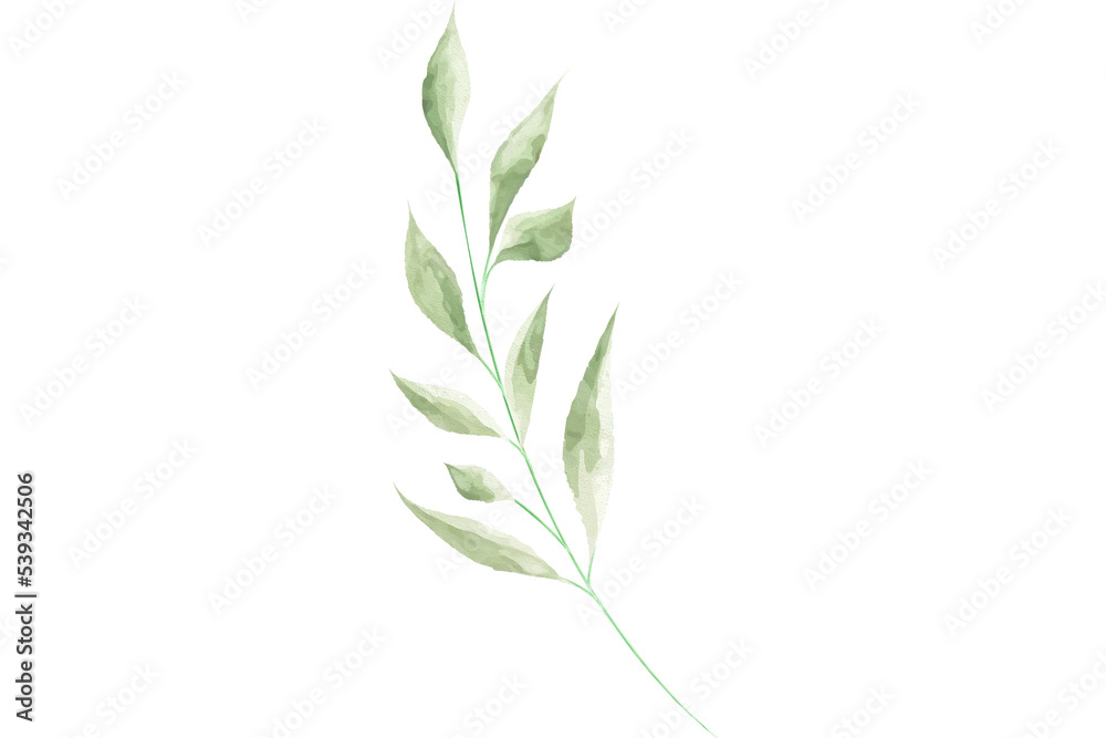 Fototapeta premium Watercolor Green Leaf For Wedding Decoration