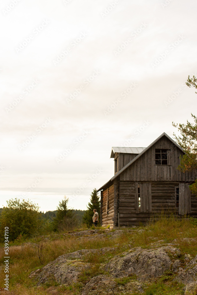 Abandoned wooden house standing alone in fir forest