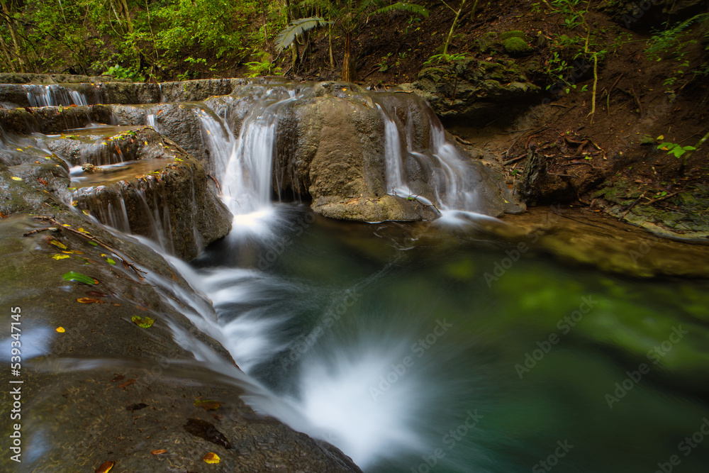 Fototapeta premium waterfall in the forest
