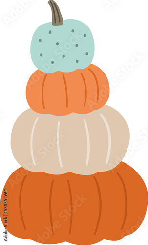 Cute cartoon pumpkins farm - vector illustration in flat style. Autumn farm, decor, pumpkins, leaves. Pumpkin festival on transparent background