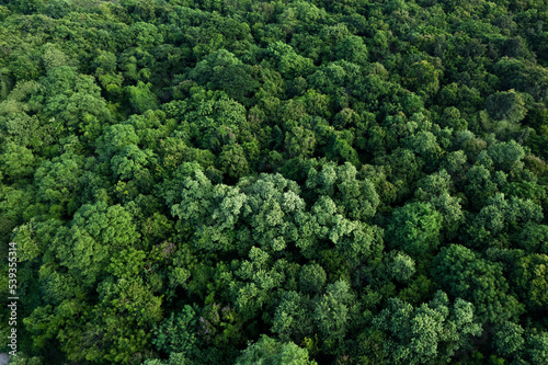 aerial view of dark green forest Abundant natural ecosystems of rainforest. Concept of nature  forest preservation and reforestation. © Photo Sesaon