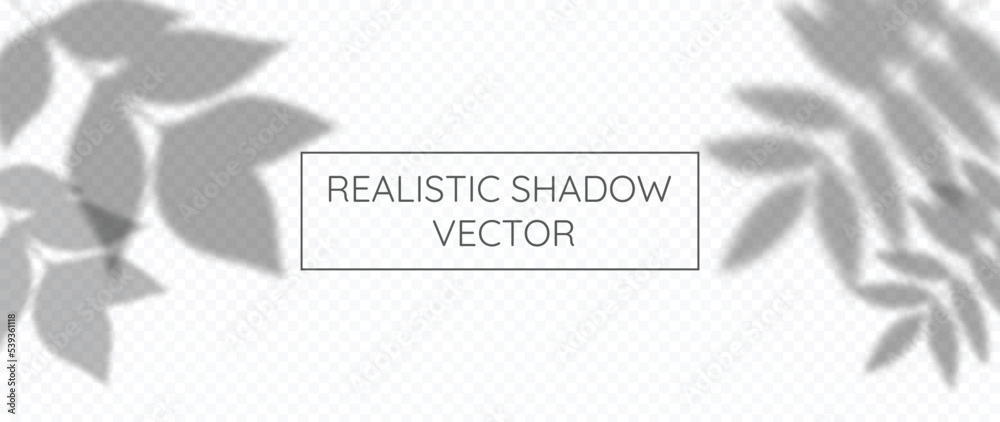 Abstract botanical shadow effect on transparent background vector ...